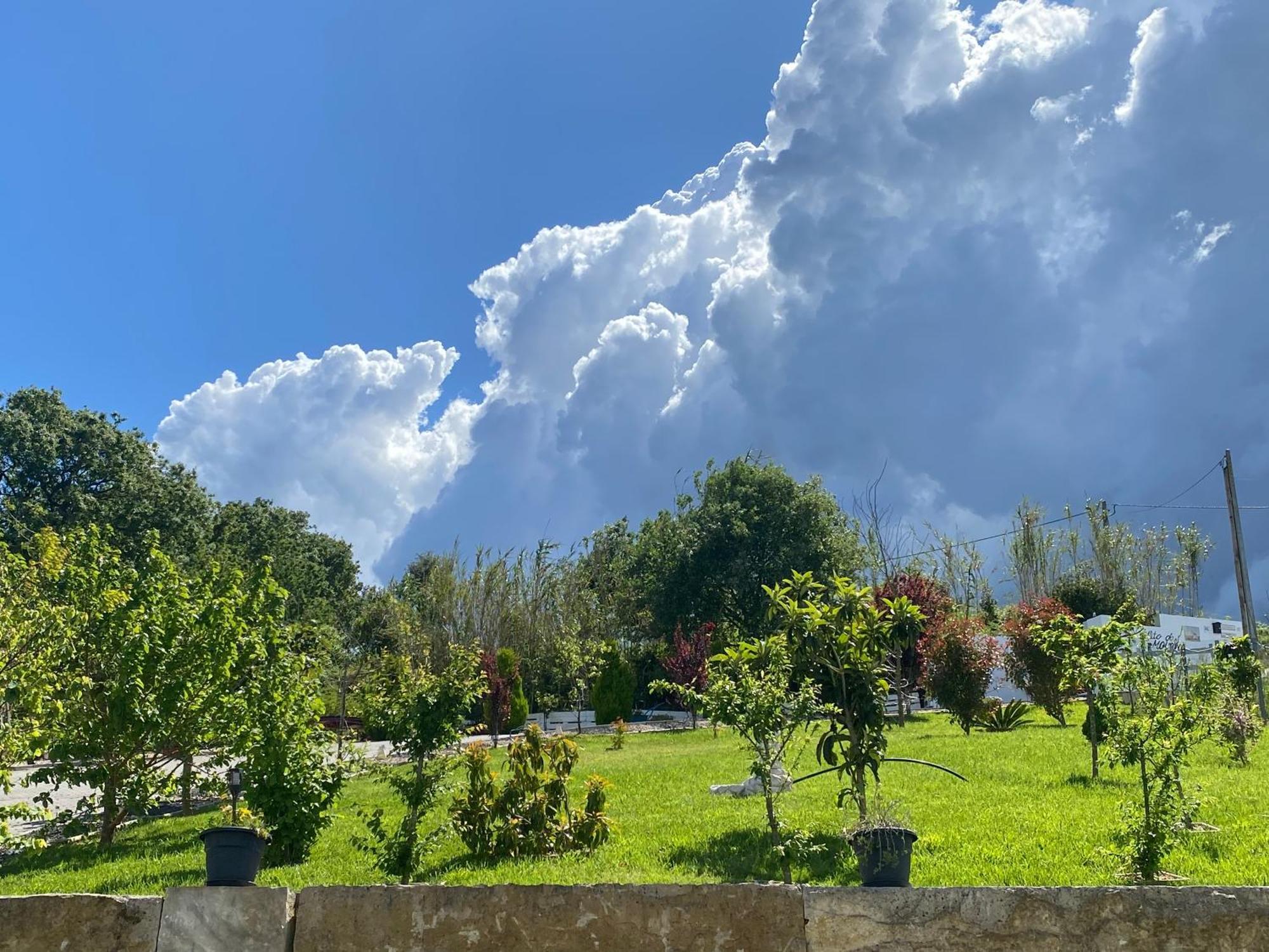 Apartmán Alto Do Moinho Alcobaça Exteriér fotografie